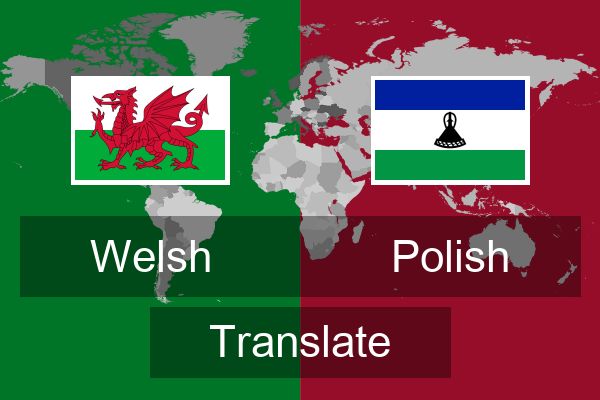  Polish Translate