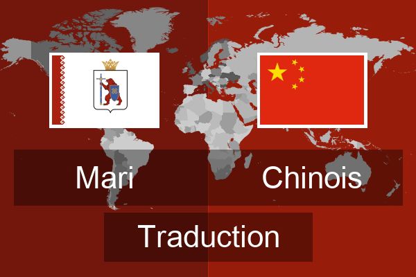  Chinois Traduction