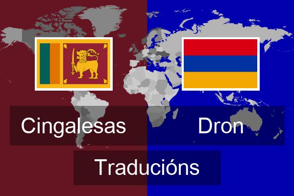  Dron Traducións