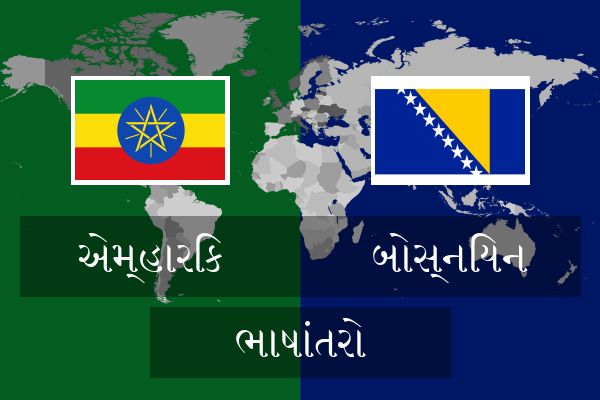  બોસ્નિયન ભાષાંતરો