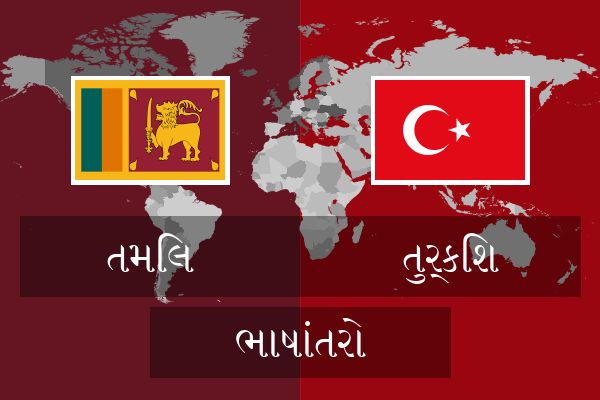  તુર્કિશ ભાષાંતરો
