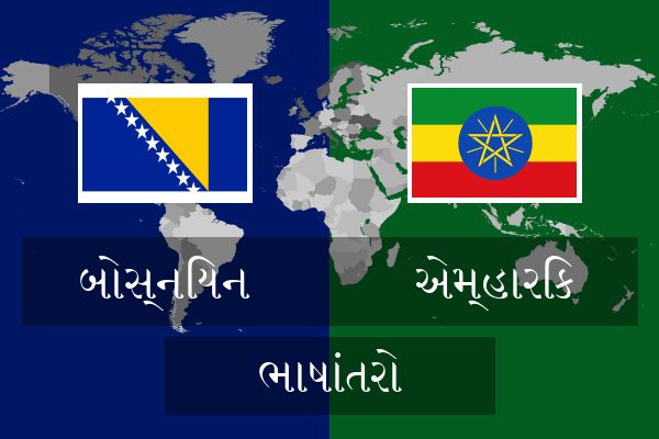  એમ્હારિક ભાષાંતરો