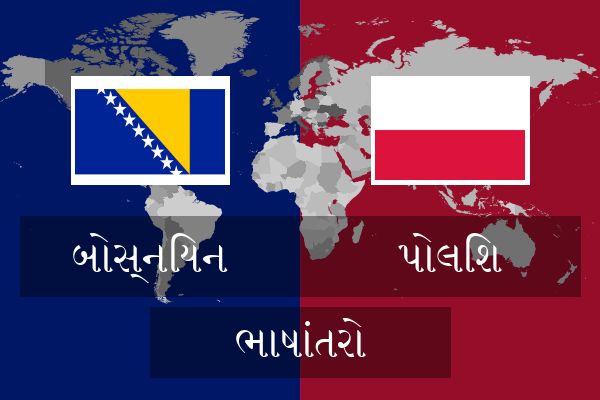  પોલિશ ભાષાંતરો