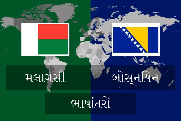  બોસ્નિયન ભાષાંતરો