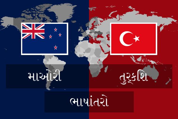  તુર્કિશ ભાષાંતરો