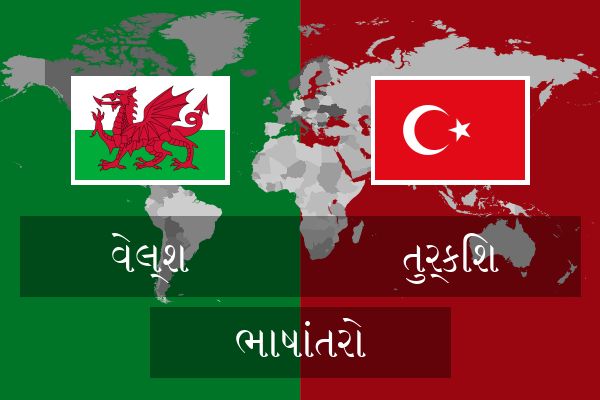  તુર્કિશ ભાષાંતરો