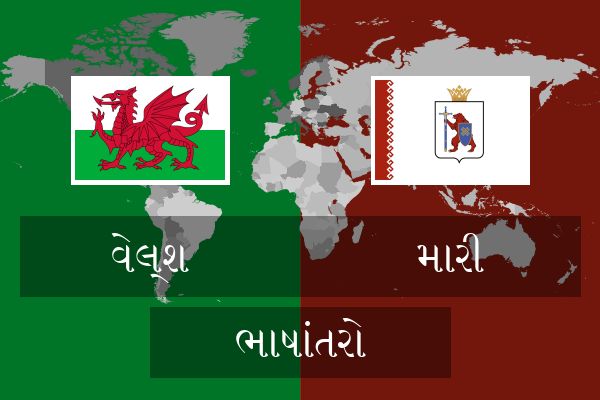  મારી ભાષાંતરો