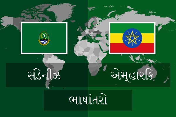  એમ્હારિક ભાષાંતરો