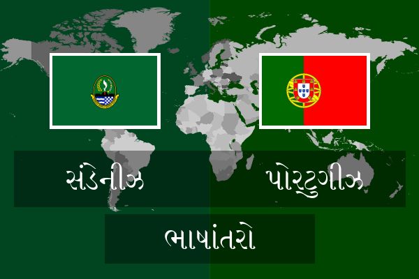  પોર્ટુગીઝ ભાષાંતરો