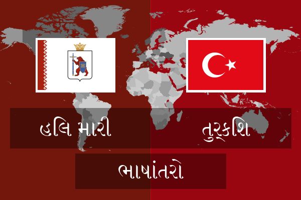  તુર્કિશ ભાષાંતરો