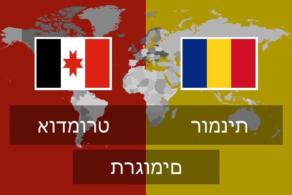  רומנית תרגומים