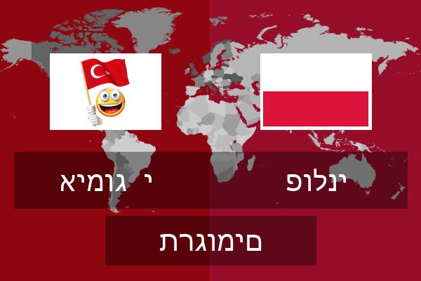  פולני תרגומים