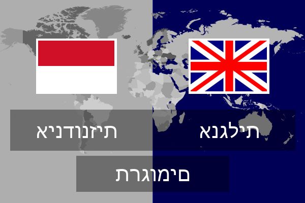  אנגלית תרגומים