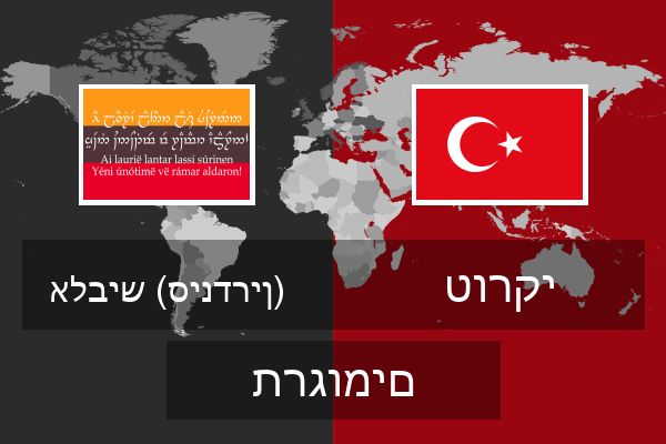  טורקי תרגומים