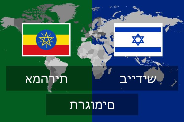  ביידיש תרגומים