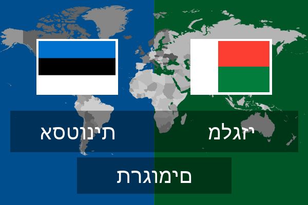  מלגזי תרגומים