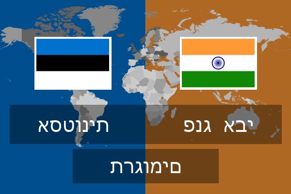  פנג  אבי תרגומים