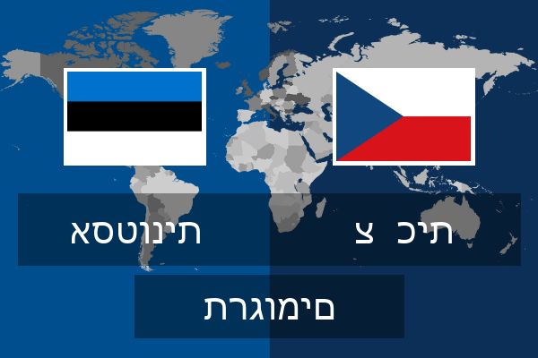  צ  כית תרגומים