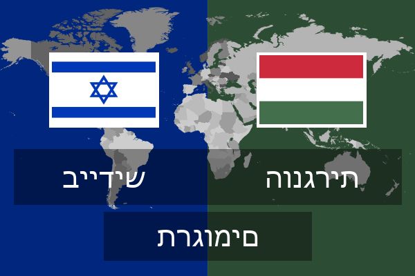  הונגרית תרגומים