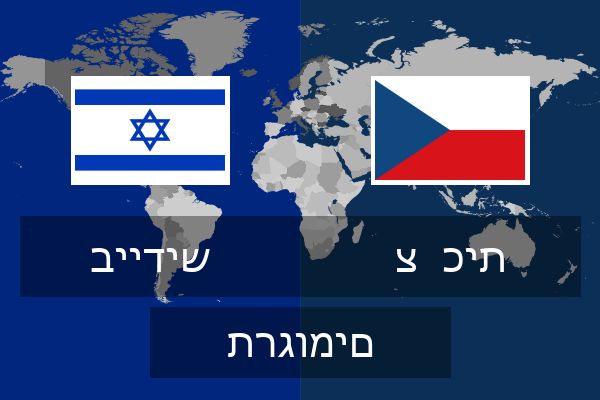  צ  כית תרגומים