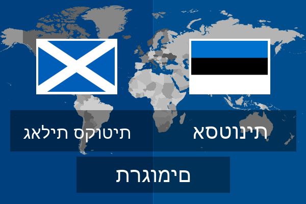  אסטונית תרגומים