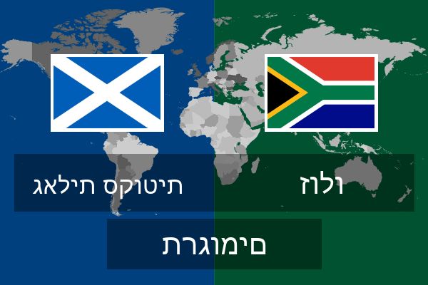 זולו תרגומים