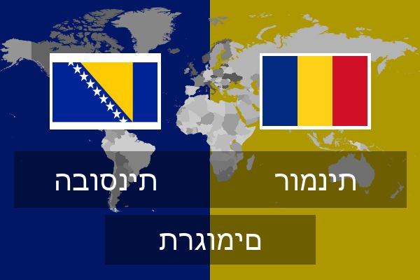  רומנית תרגומים