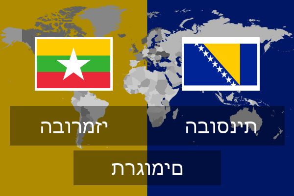  הבוסנית תרגומים