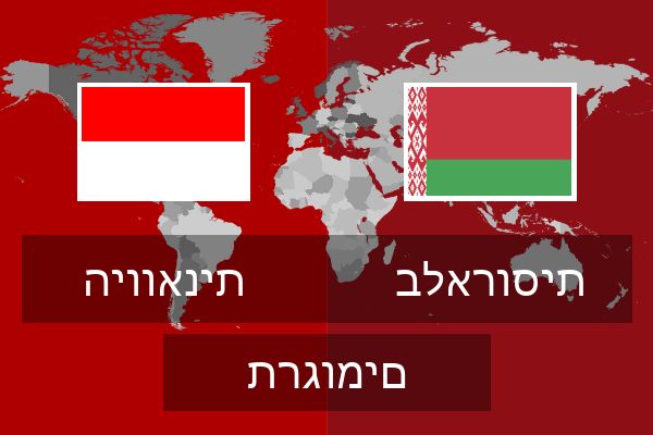  בלארוסית תרגומים