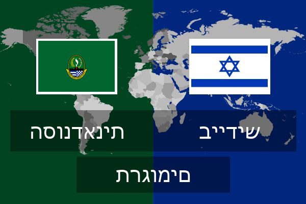  ביידיש תרגומים