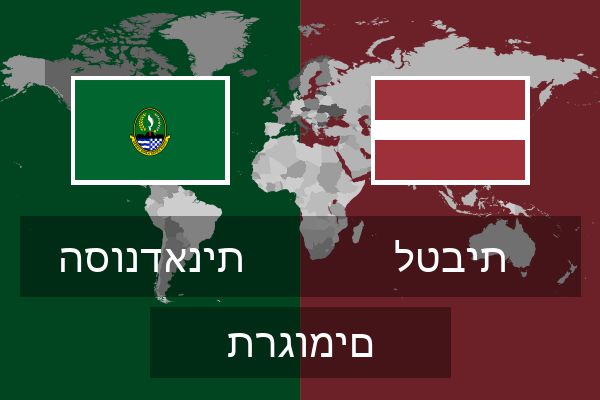  לטבית תרגומים