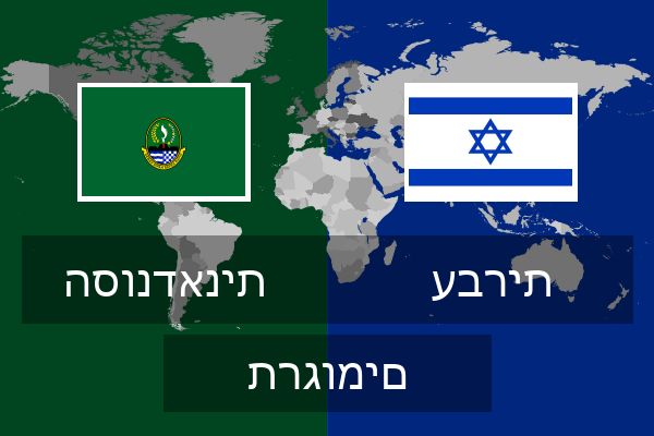  עברית תרגומים