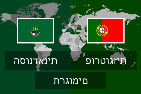  פורטוגזית תרגומים