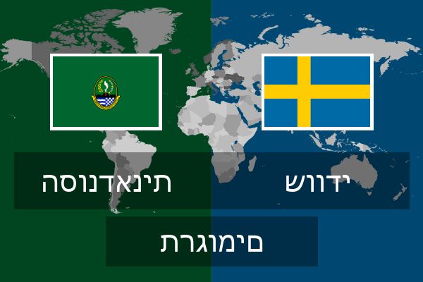  שוודי תרגומים