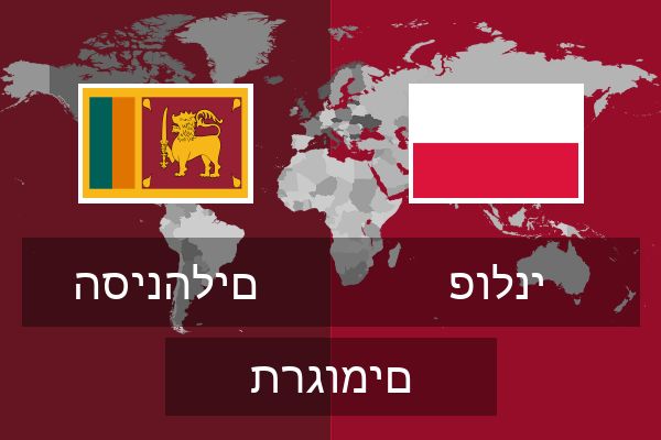  פולני תרגומים