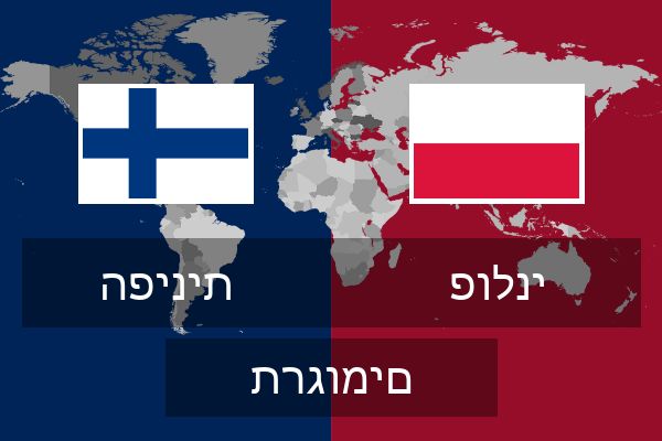  פולני תרגומים