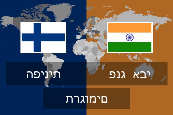  פנג  אבי תרגומים