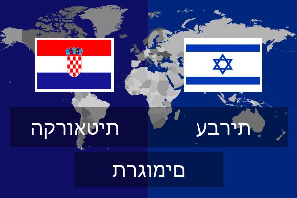  עברית תרגומים