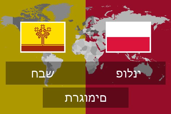 פולני תרגומים