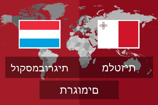  מלטזית תרגומים