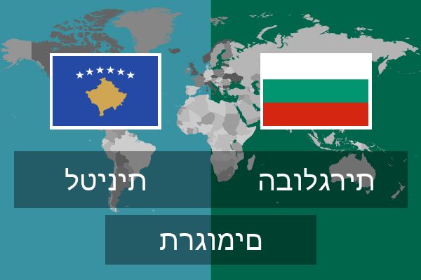  הבולגרית תרגומים