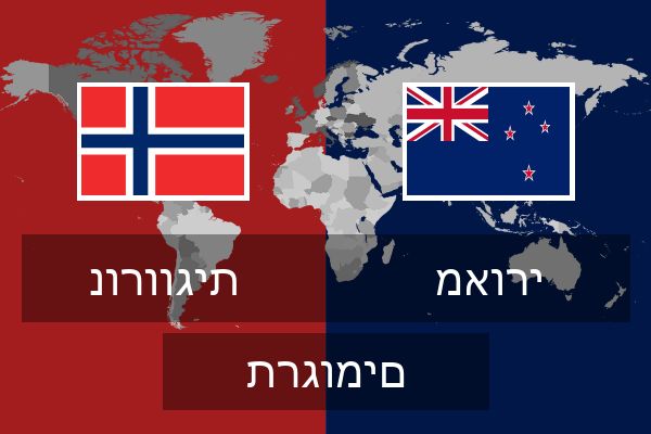  מאורי תרגומים