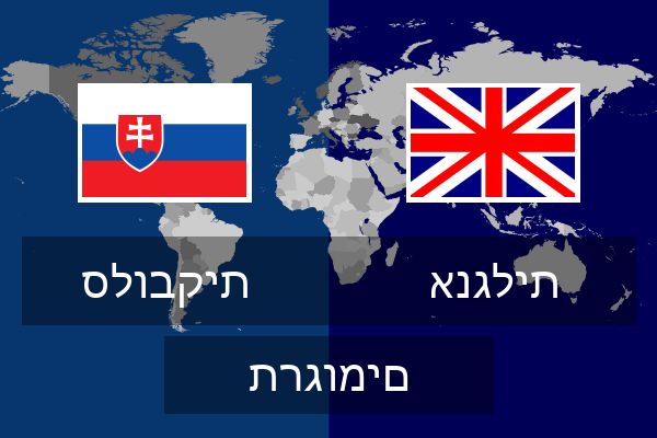  אנגלית תרגומים