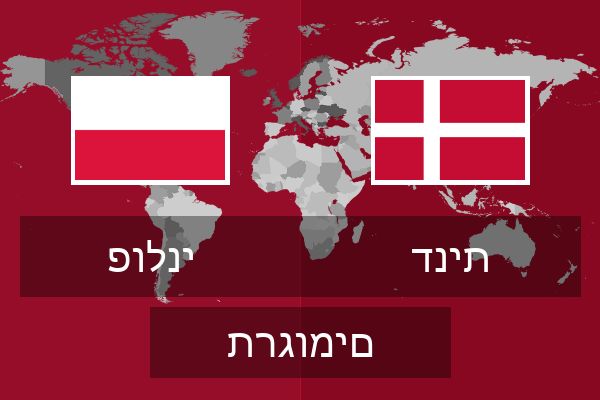 דנית תרגומים