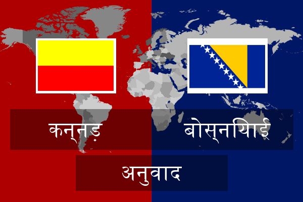  बोस्नियाई अनुवाद