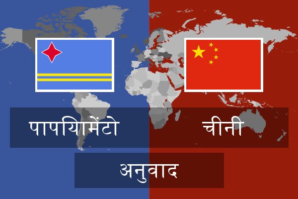  चीनी अनुवाद