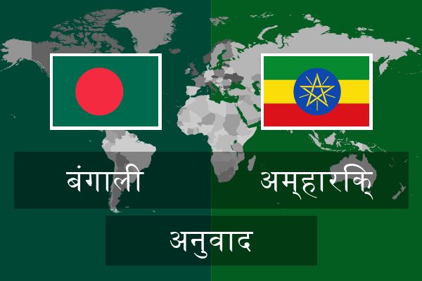  अम्हारिक् अनुवाद