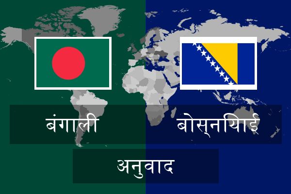  बोस्नियाई अनुवाद