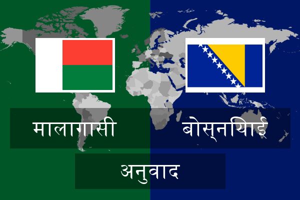  बोस्नियाई अनुवाद