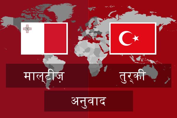  तुर्की अनुवाद